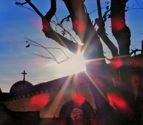 Rays Of Hope 